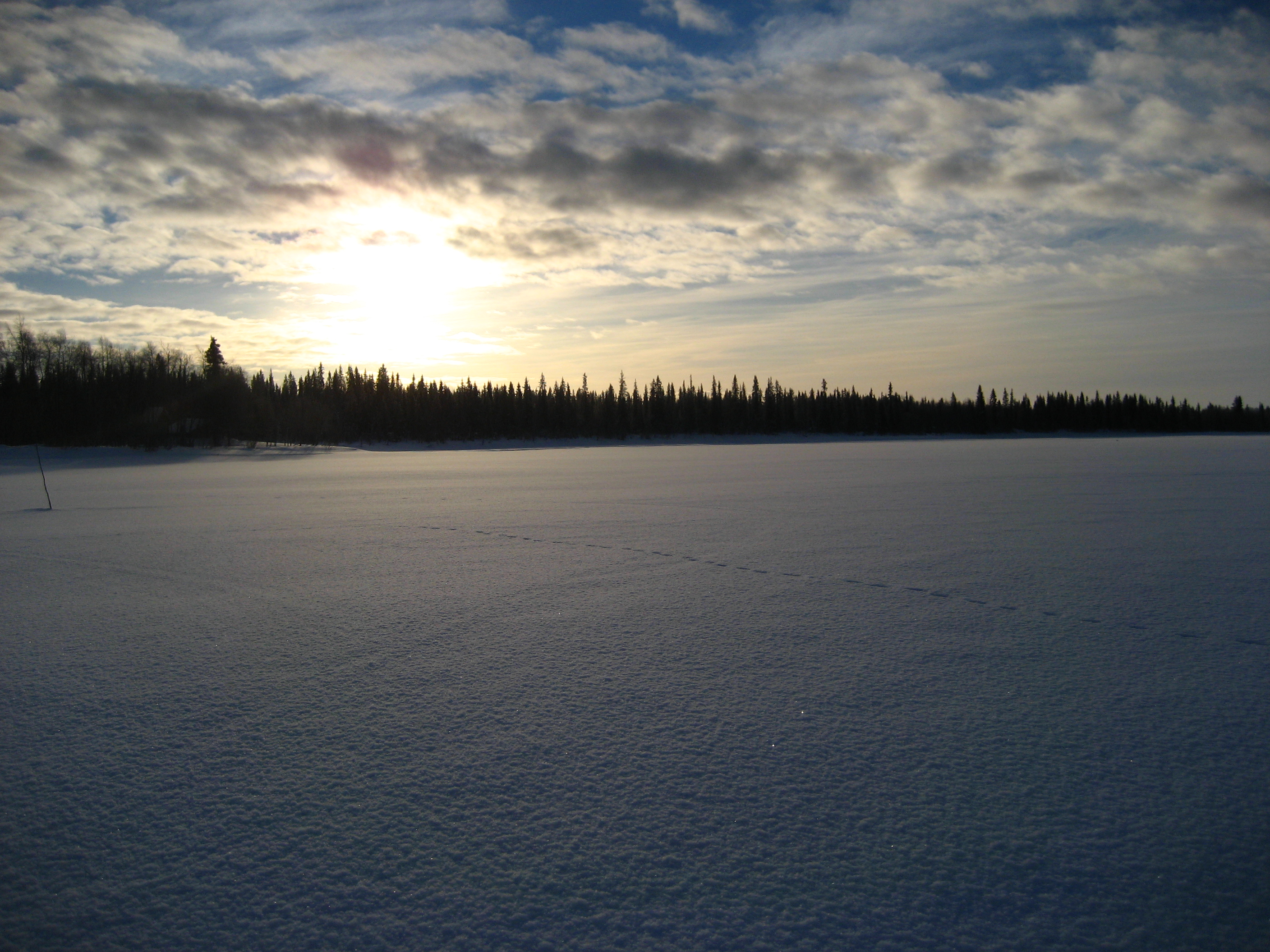 Dreh-Huskies-Finland005