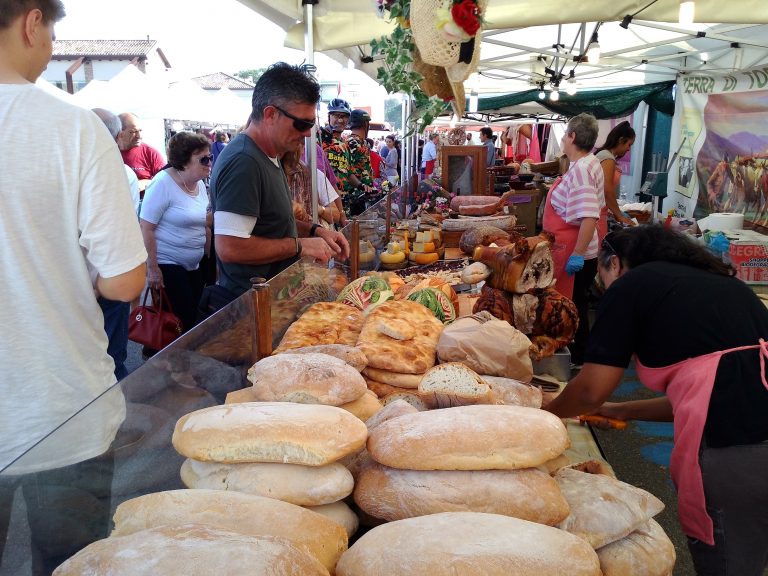 Cervia